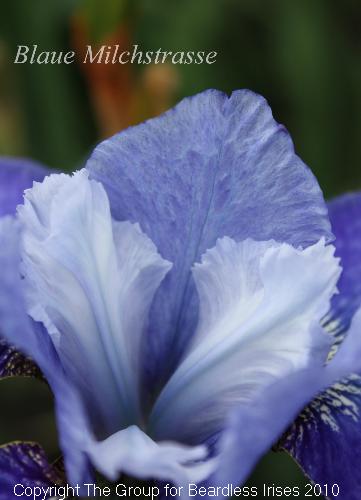 Blaue Milchstrasse 